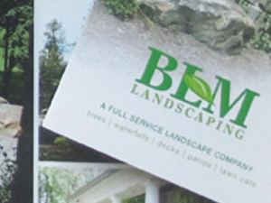 BLM Brochure